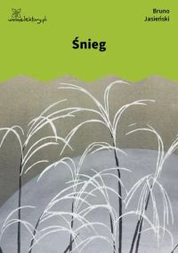 Śnieg