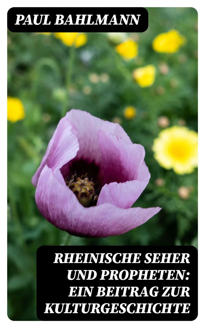 Rheinische Seher und Propheten: Ein Beitrag zur Kulturgeschichte