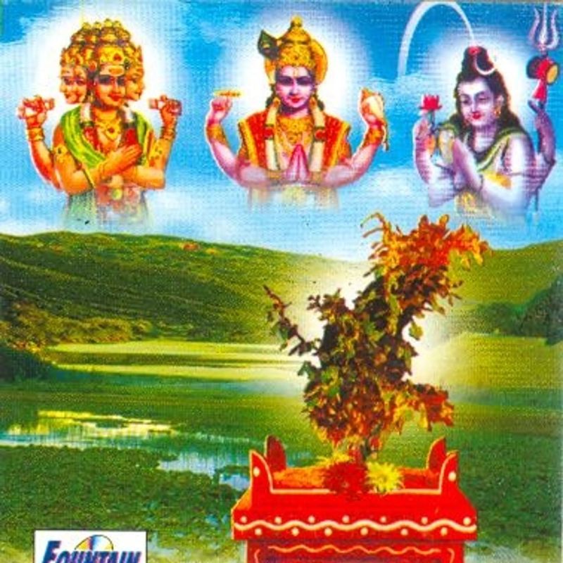 Tulashimata Mahapativrata