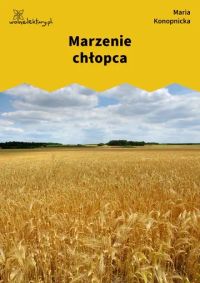 Marzenie chłopca