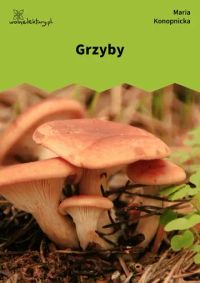 Grzyby