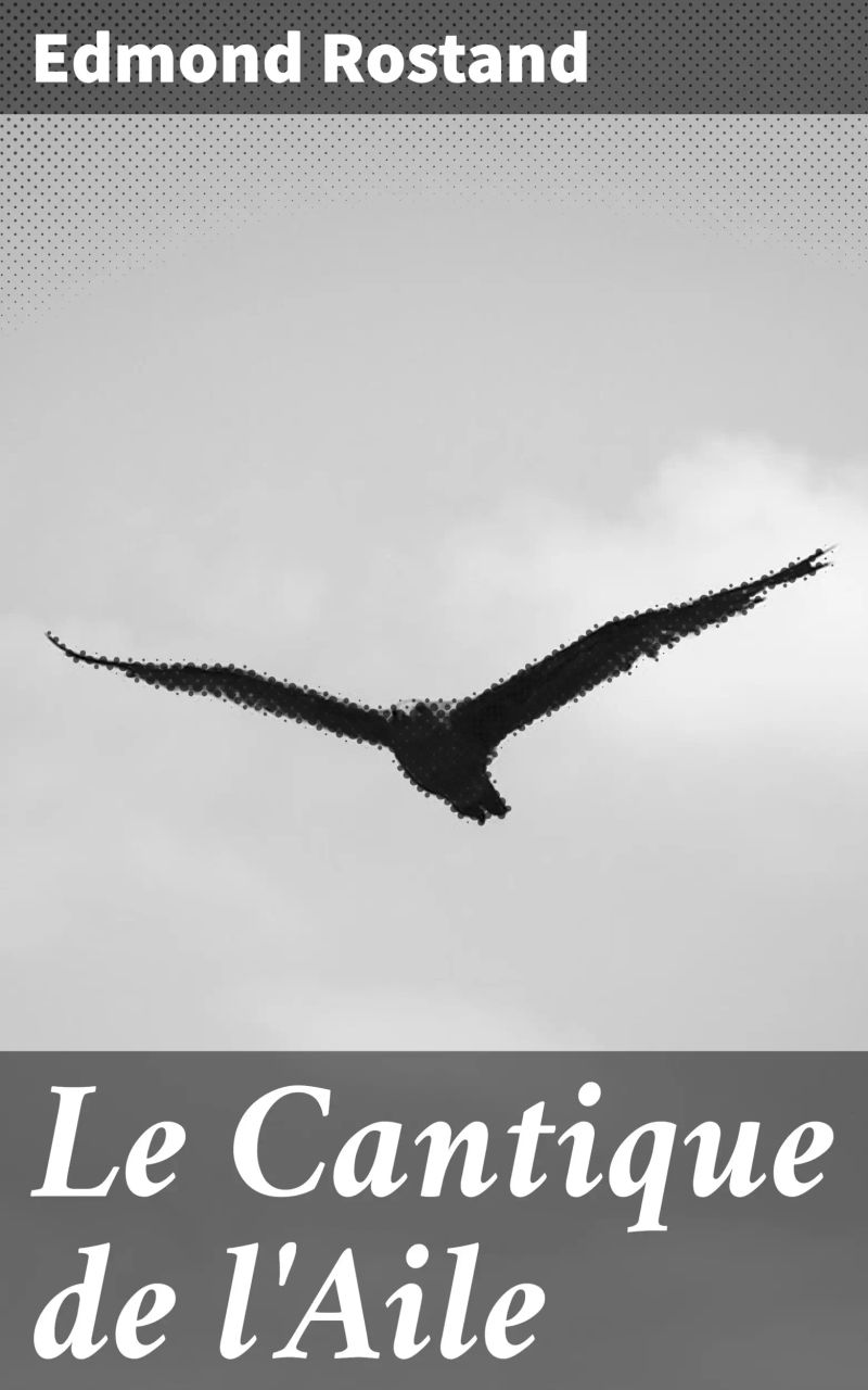 Le Cantique de l'Aile