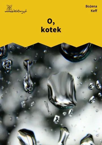 O, kotek