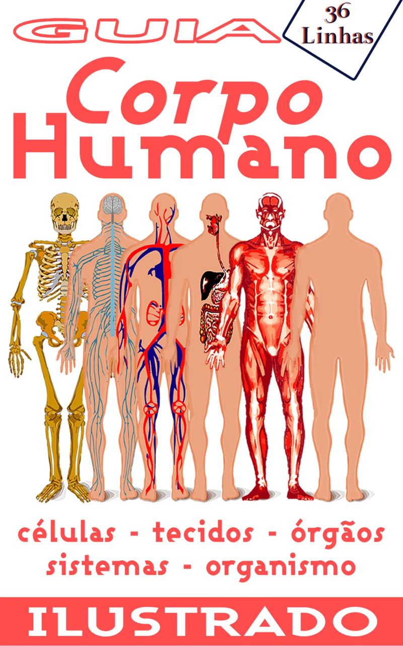 Guia 36 - Corpo Humano