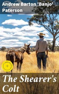 The Shearer's Colt