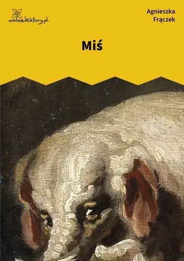Miś