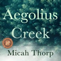 Aegolius Creek