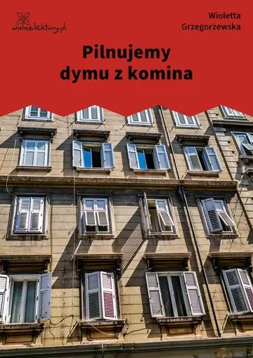 Pilnujemy dymu z komina