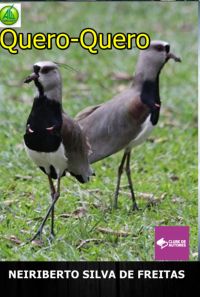 Quero-quero