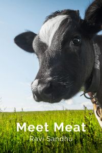 Meet Meat