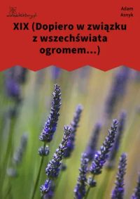XIX (Dopiero w związku z wszechświata ogromem...)