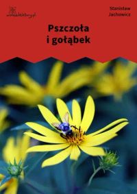 Pszczoła i gołąbek