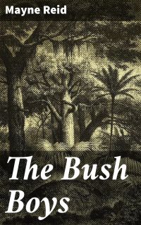 The Bush Boys