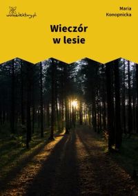 Wieczór w lesie