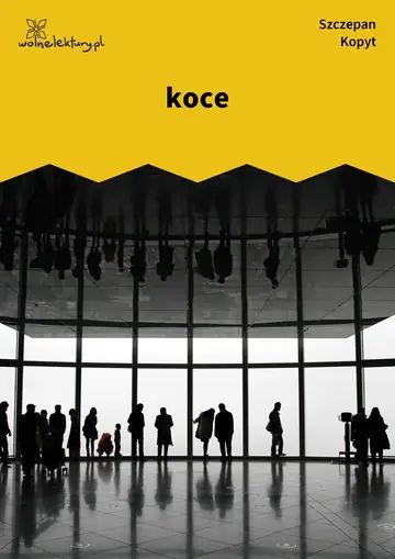 koce