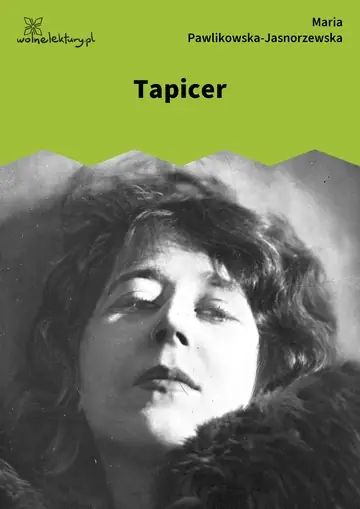 Tapicer