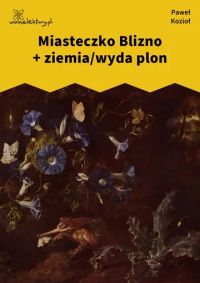 Miasteczko Blizno + ziemia/wyda plon