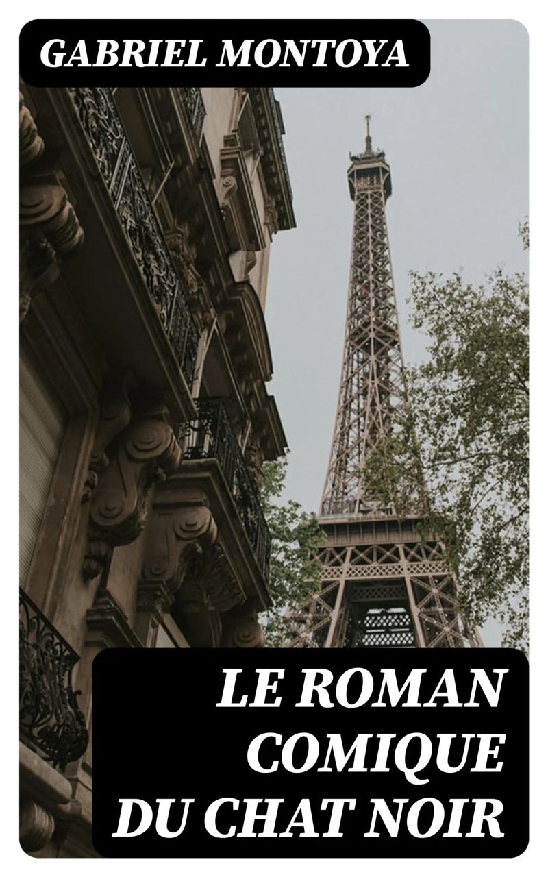 Le Roman Comique du Chat Noir