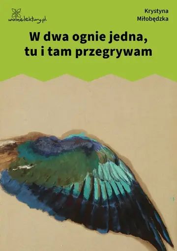 W dwa ognie jedna, tu i tam przegrywam
