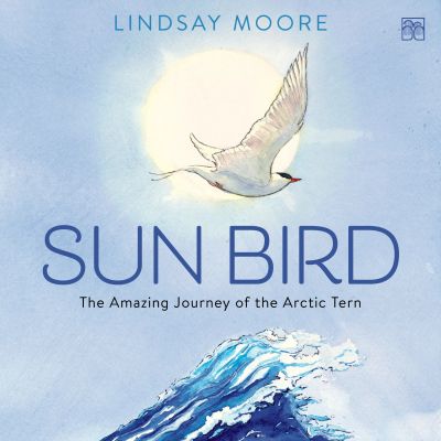 Sun Bird
