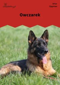 Owczarek