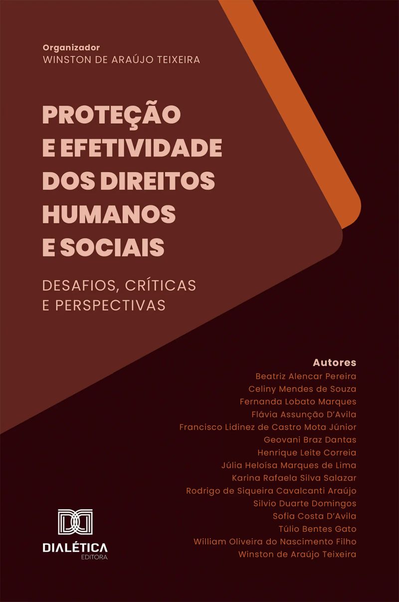 Proteção e Efetividade dos Direitos Humanos e Sociais
