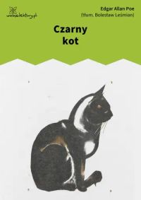 Czarny kot