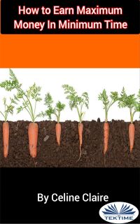 How To Earn Maximum Money In Minimum Time