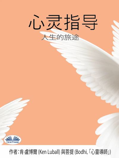 心灵指导