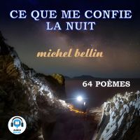 Ce que me confie la nuit