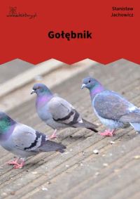 Gołębnik