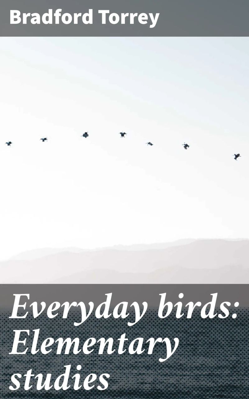 Everyday birds: Elementary studies