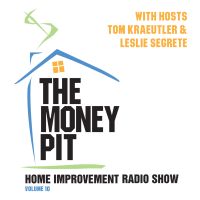 The Money Pit, Vol. 10