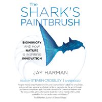 The Shark’s Paintbrush