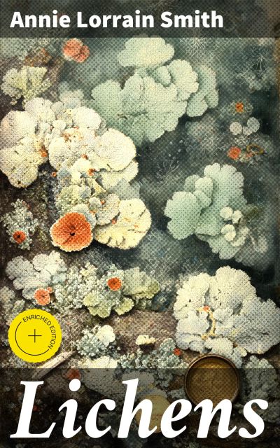 Lichens