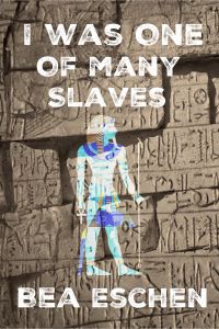 I Was One Of Many Slaves