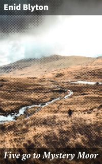 Five go to Mystery Moor