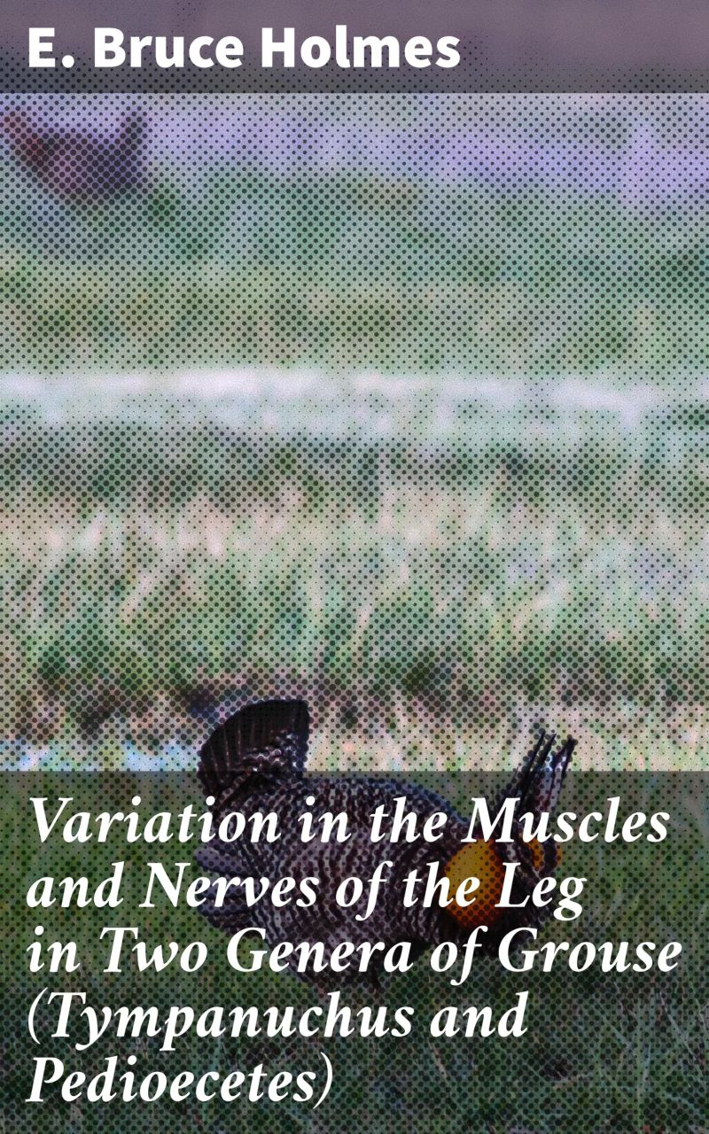 Variation in the Muscles and Nerves of the Leg in Two Genera of Grouse (Tympanuchus and Pedioecetes)