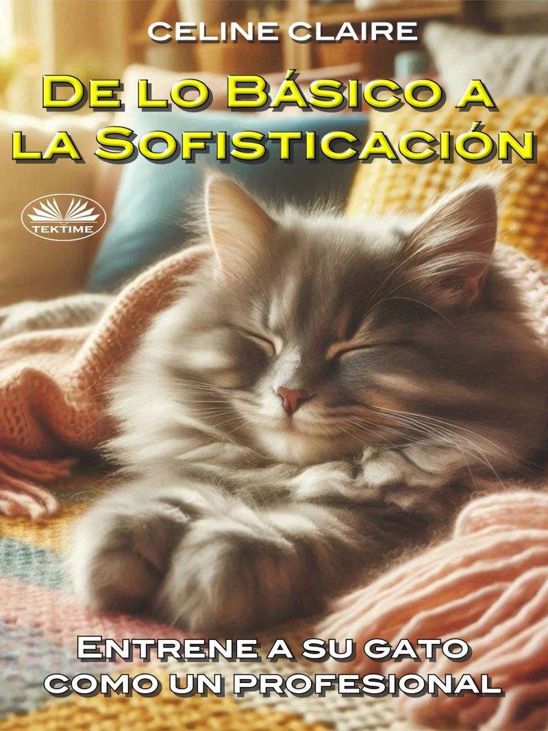 De Lo Básico A La Sofisticación