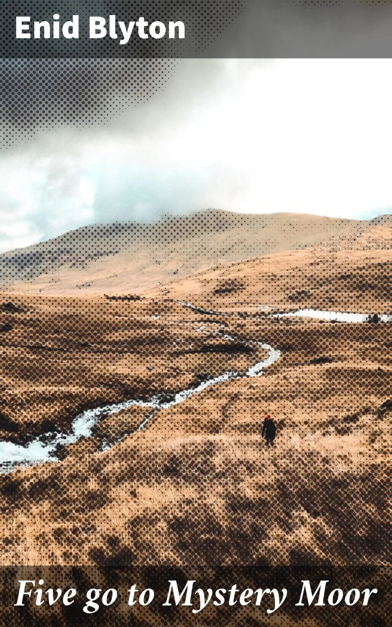Five go to Mystery Moor