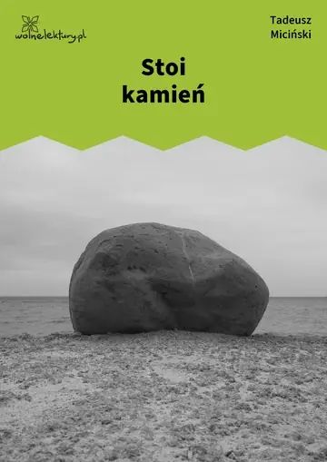 Stoi kamień