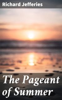 The Pageant of Summer