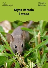 Mysz młoda i stara