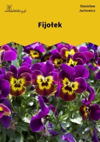Fijołek