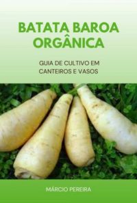 Batata-baroa Orgânica