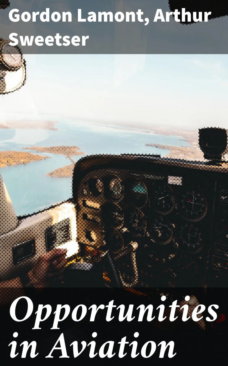 Opportunities in Aviation