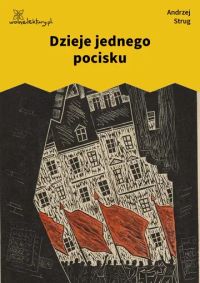 Dzieje jednego pocisku