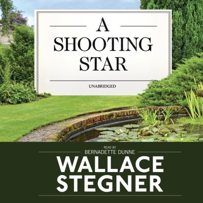 A Shooting Star