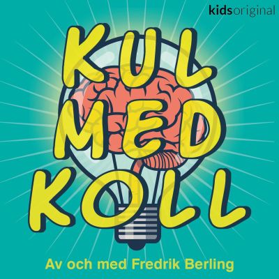 Kul med koll - Falukorv