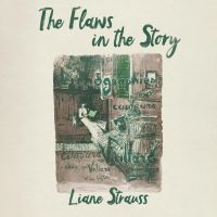 The Flaws in the Story
